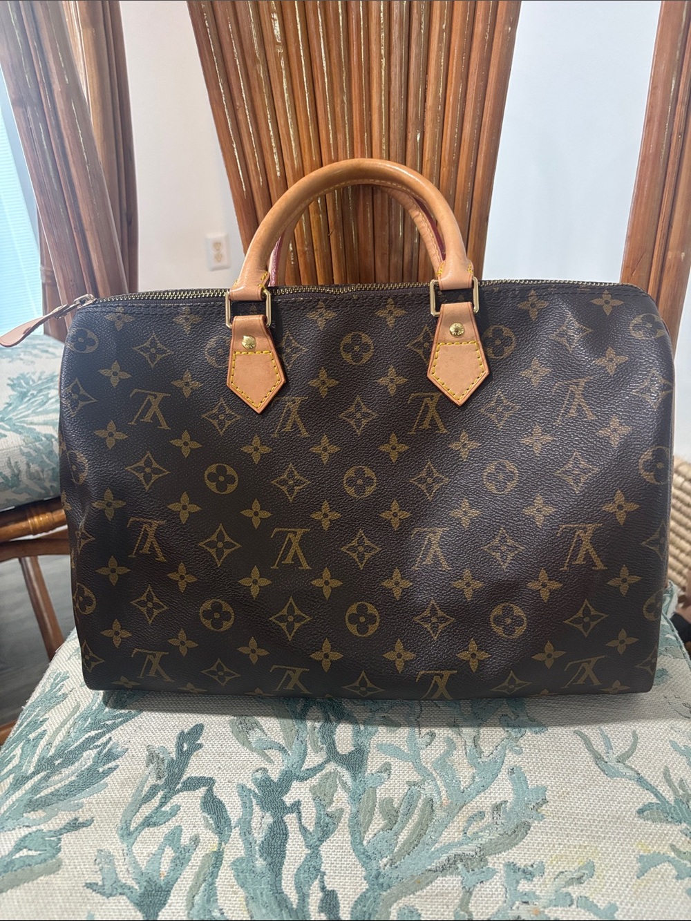 Louis Vuitton Monogram large hand bag Bag in Brown and Tan